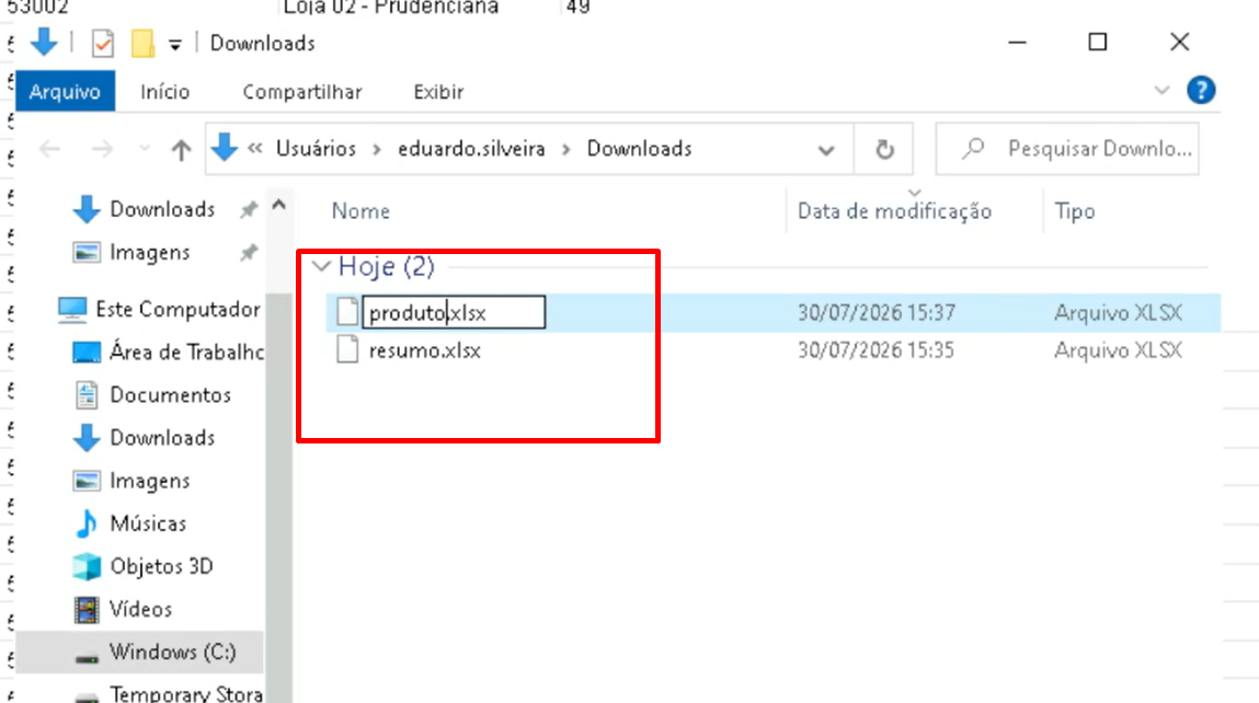 Arquivos exportados renomeados para resumo.xlsx e produto.xlsx